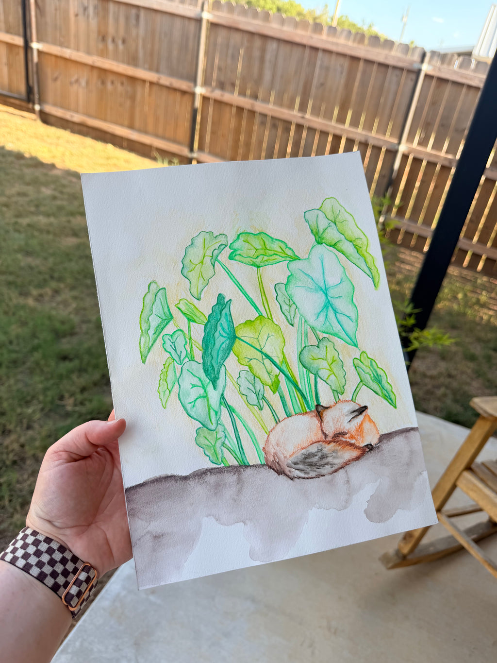 Fox Sleeping Under Elephant Ear Plants - Original Drawing