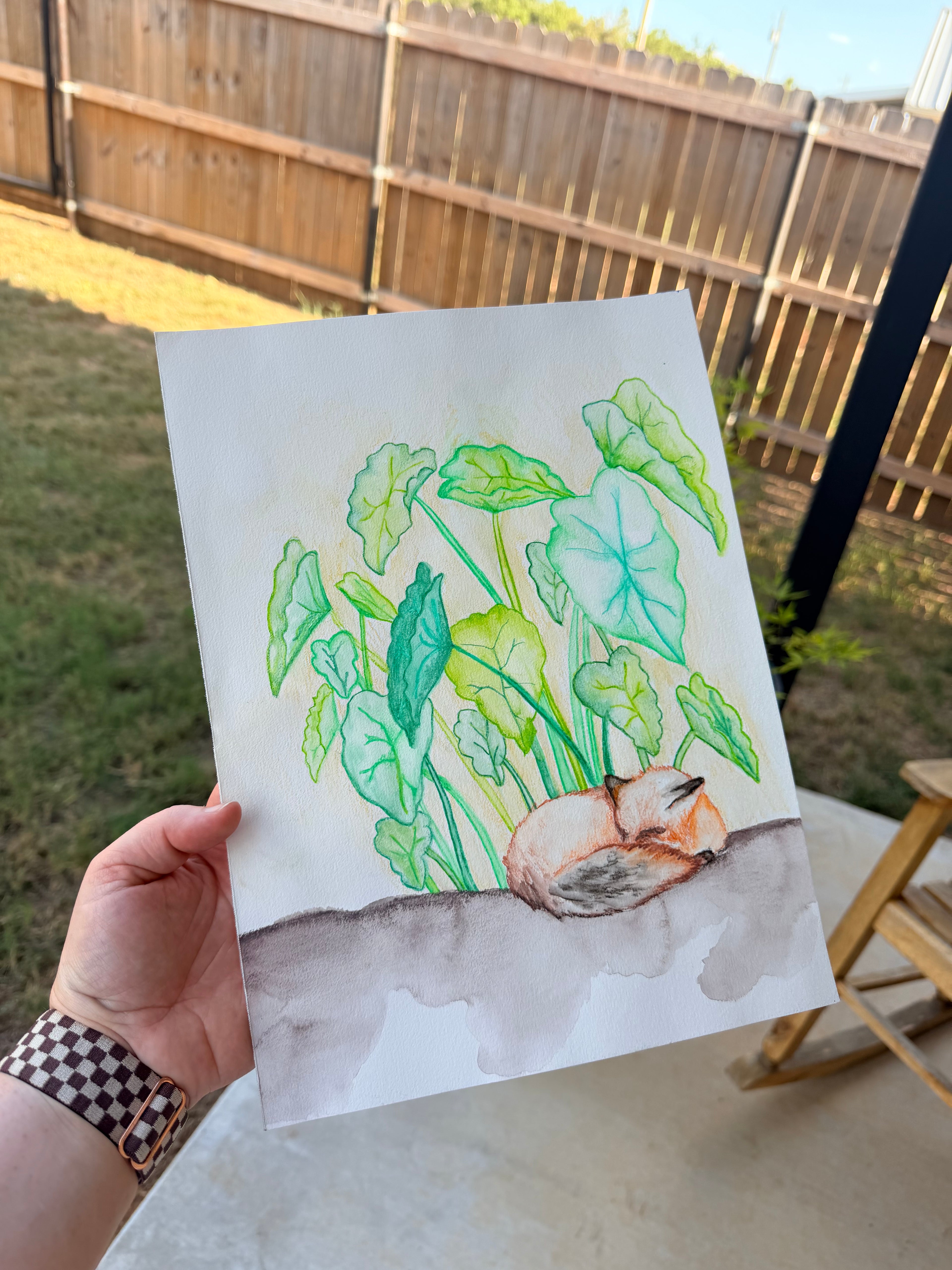 Fox Sleeping Under Elephant Ear Plants - Original Drawing
