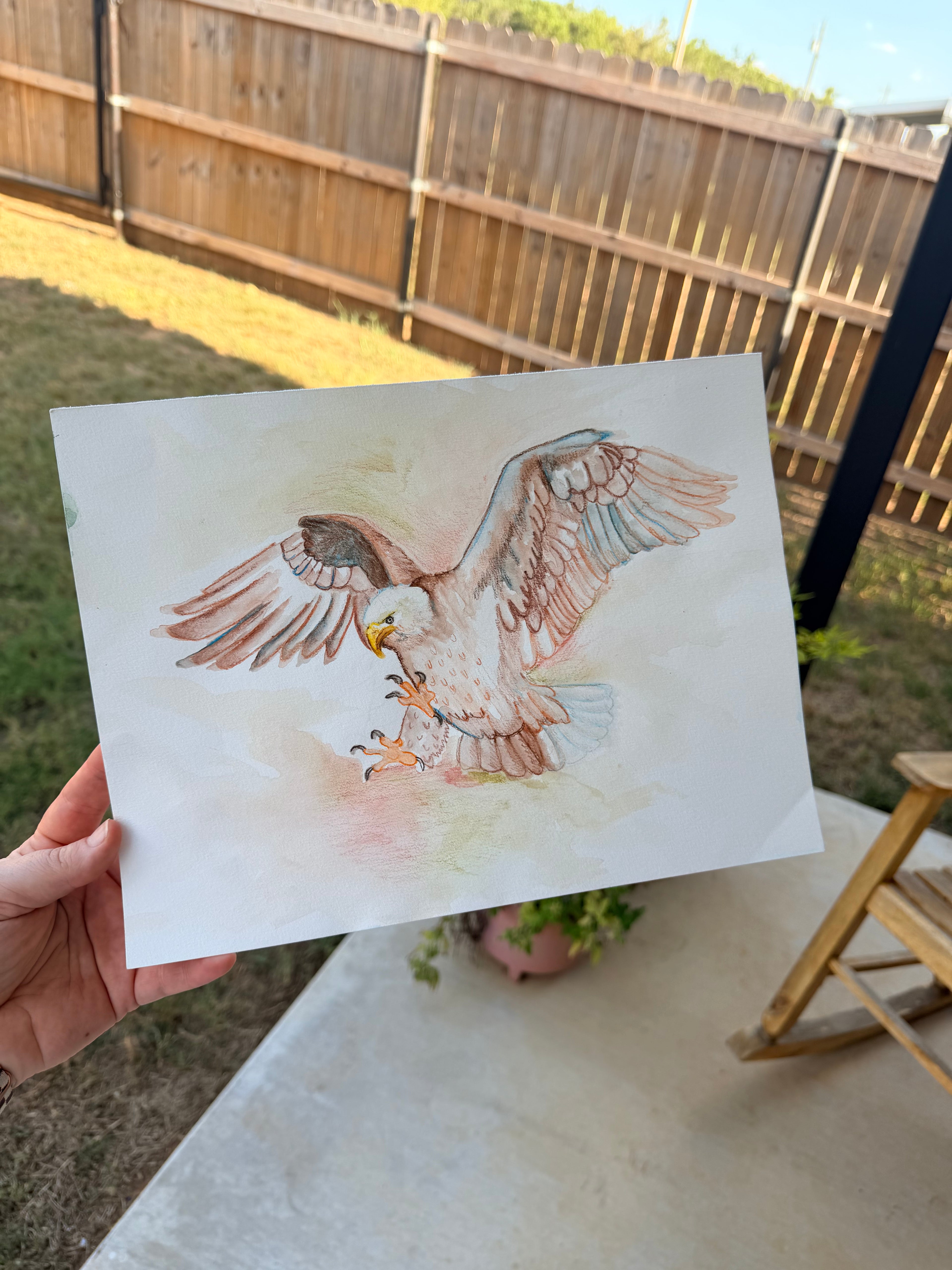 Bald Eagle Landing - Original Drawing
