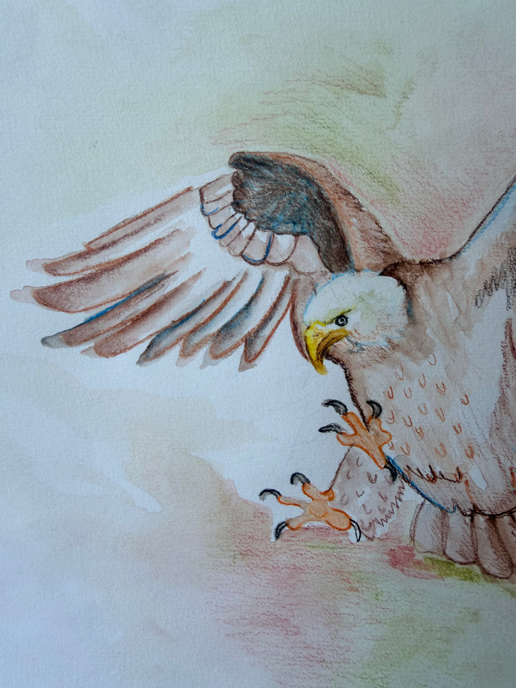 Bald Eagle Landing - Original Drawing