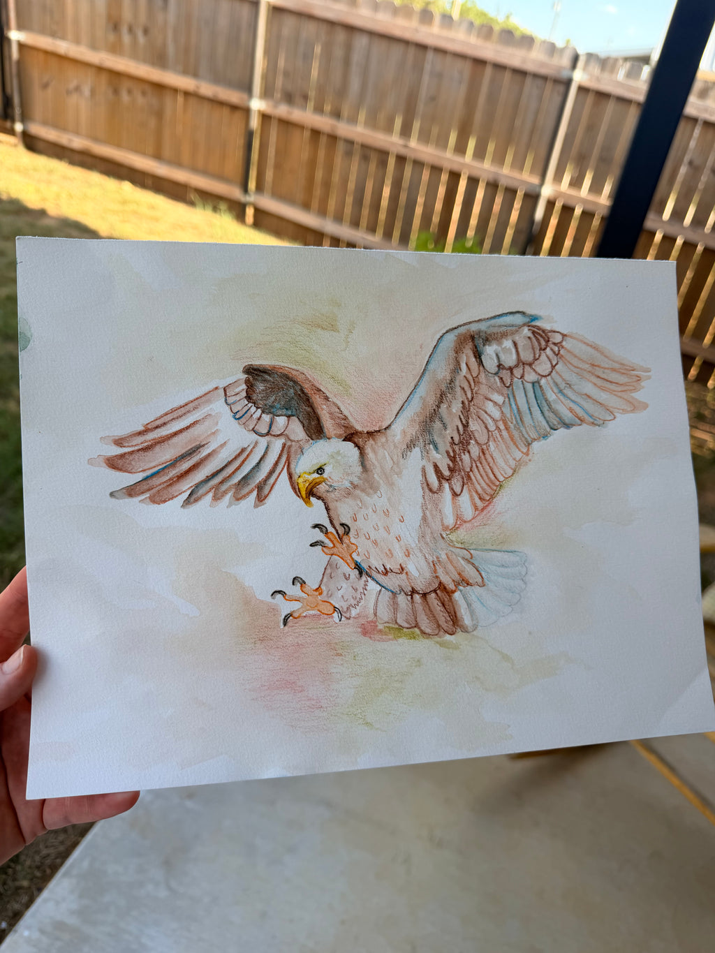 Bald Eagle Landing - Original Drawing