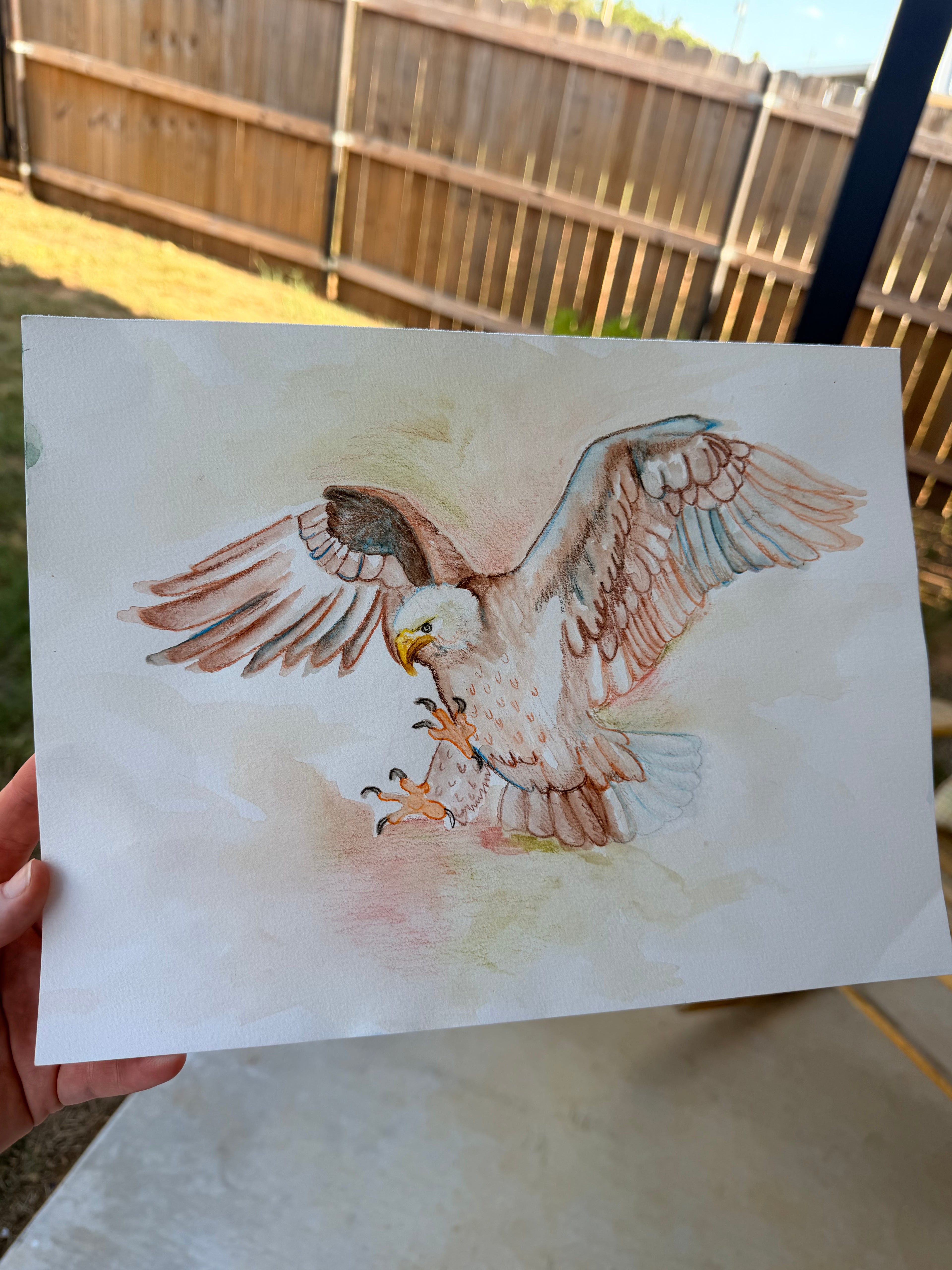 Bald Eagle Landing - Original Drawing
