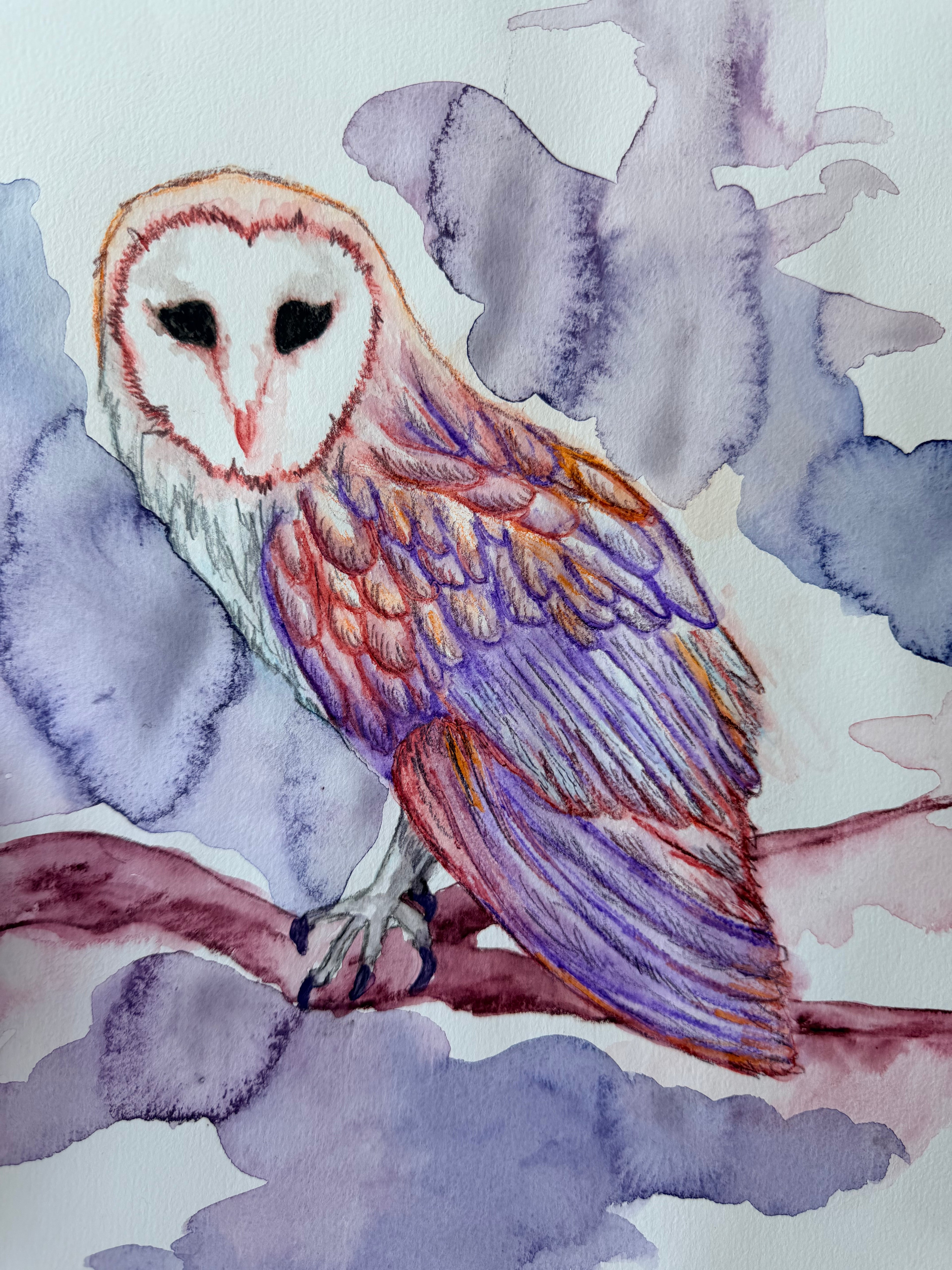 Ominous Owl With Dark Eyes - Original Drawing