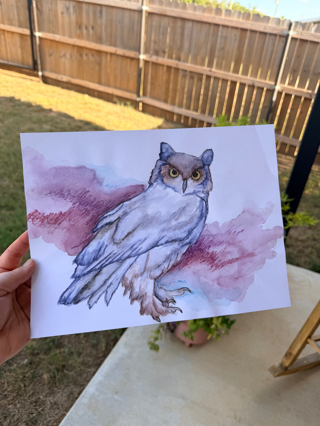 Great Horned Owl - Original Drawing