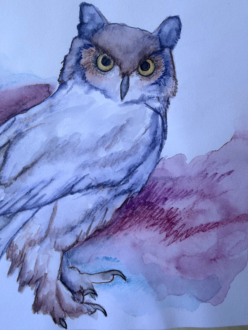 Great Horned Owl - Original Drawing