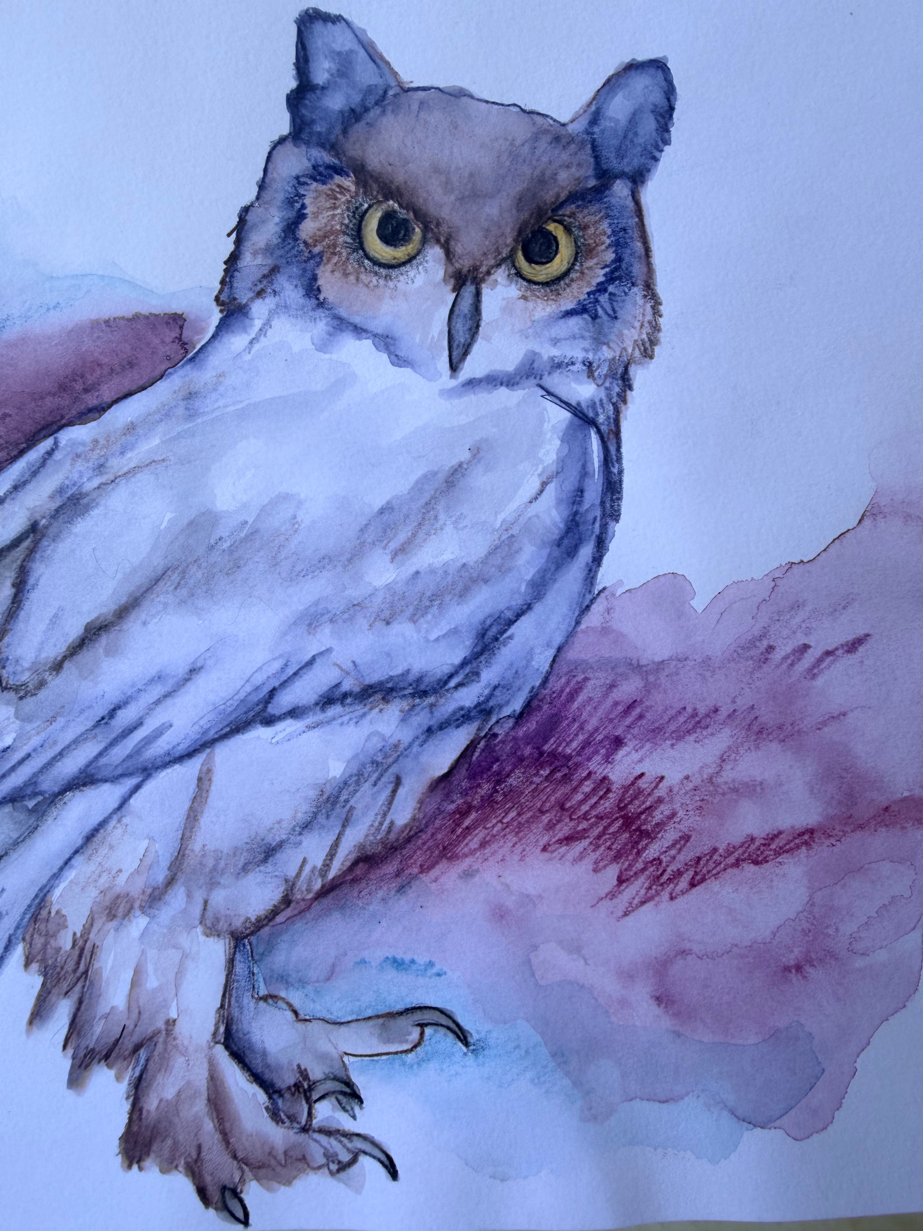 Great Horned Owl - Original Drawing