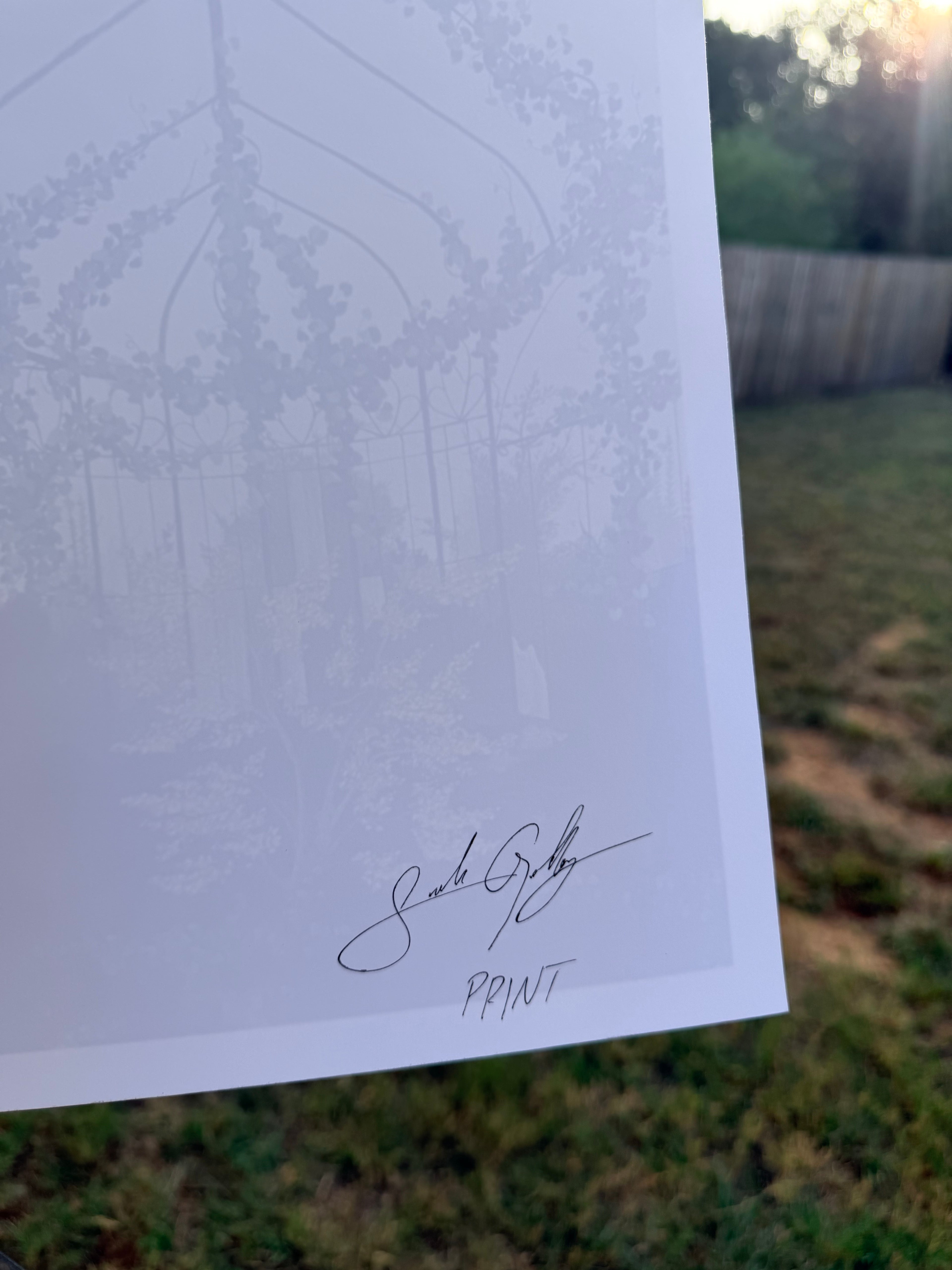 Overgrown Greenhouse - Print