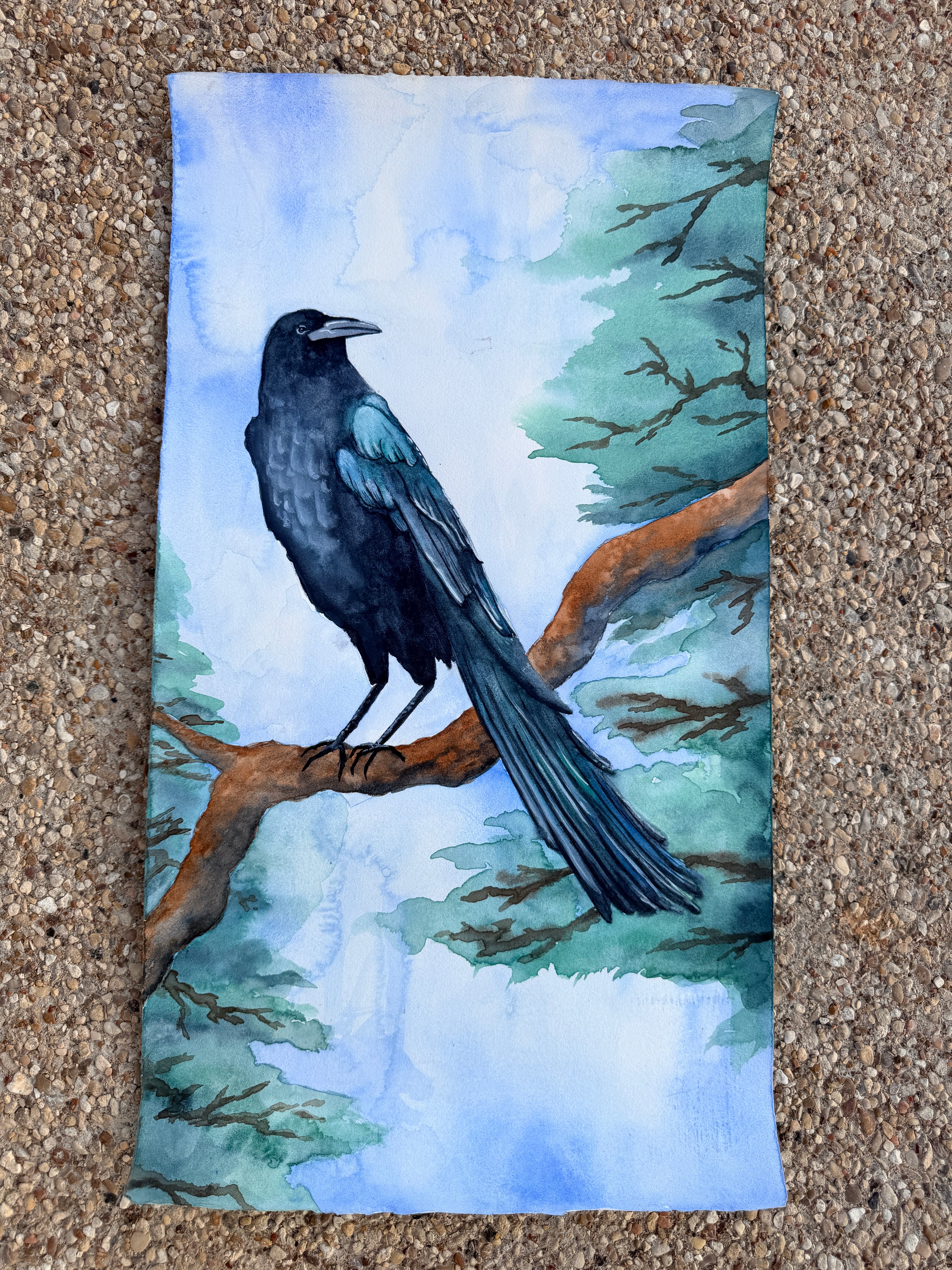 Raven On A Branch - Original Painting