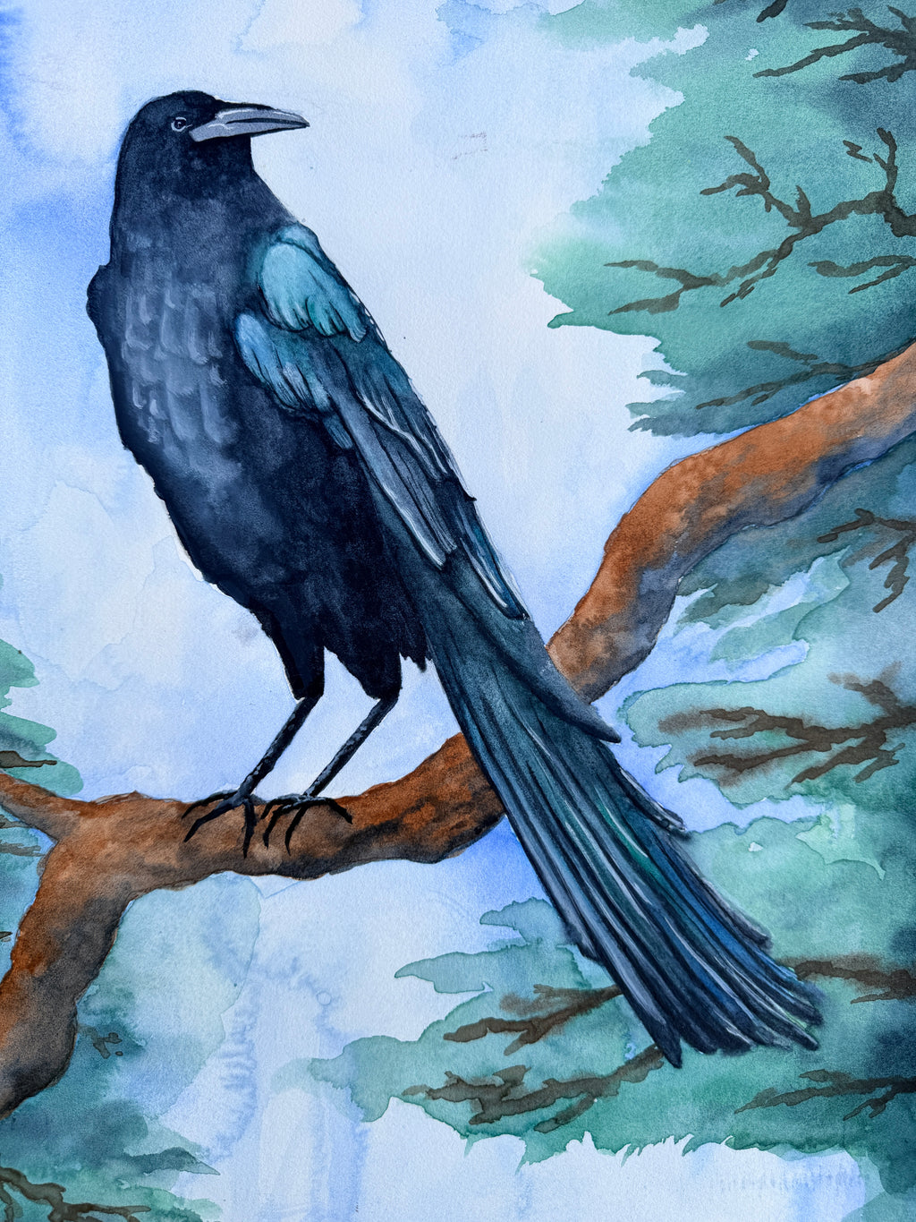 Raven On A Branch - Original Painting