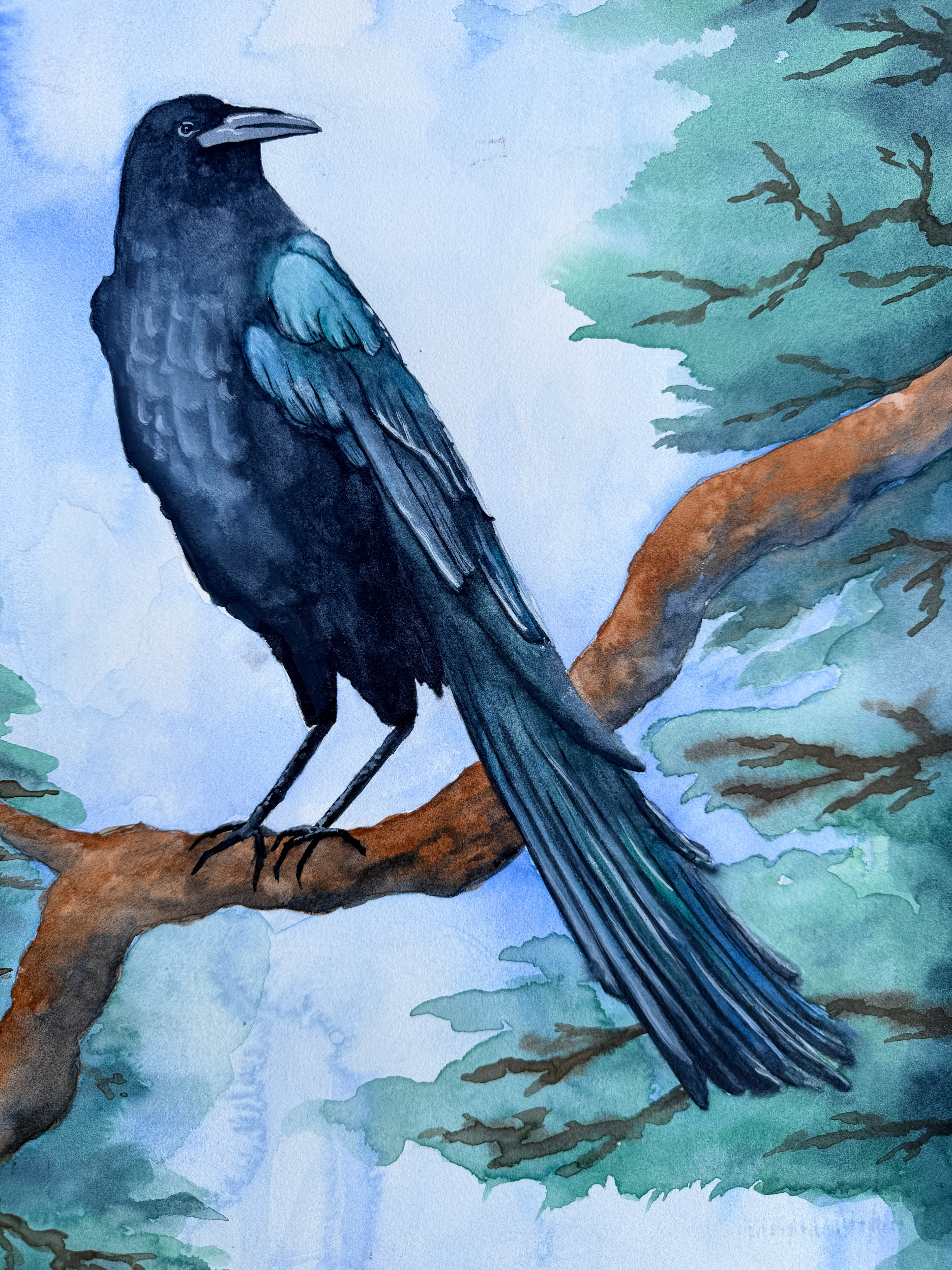Raven On A Branch - Original Painting
