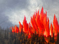 Raging Wildfire - Original Painting