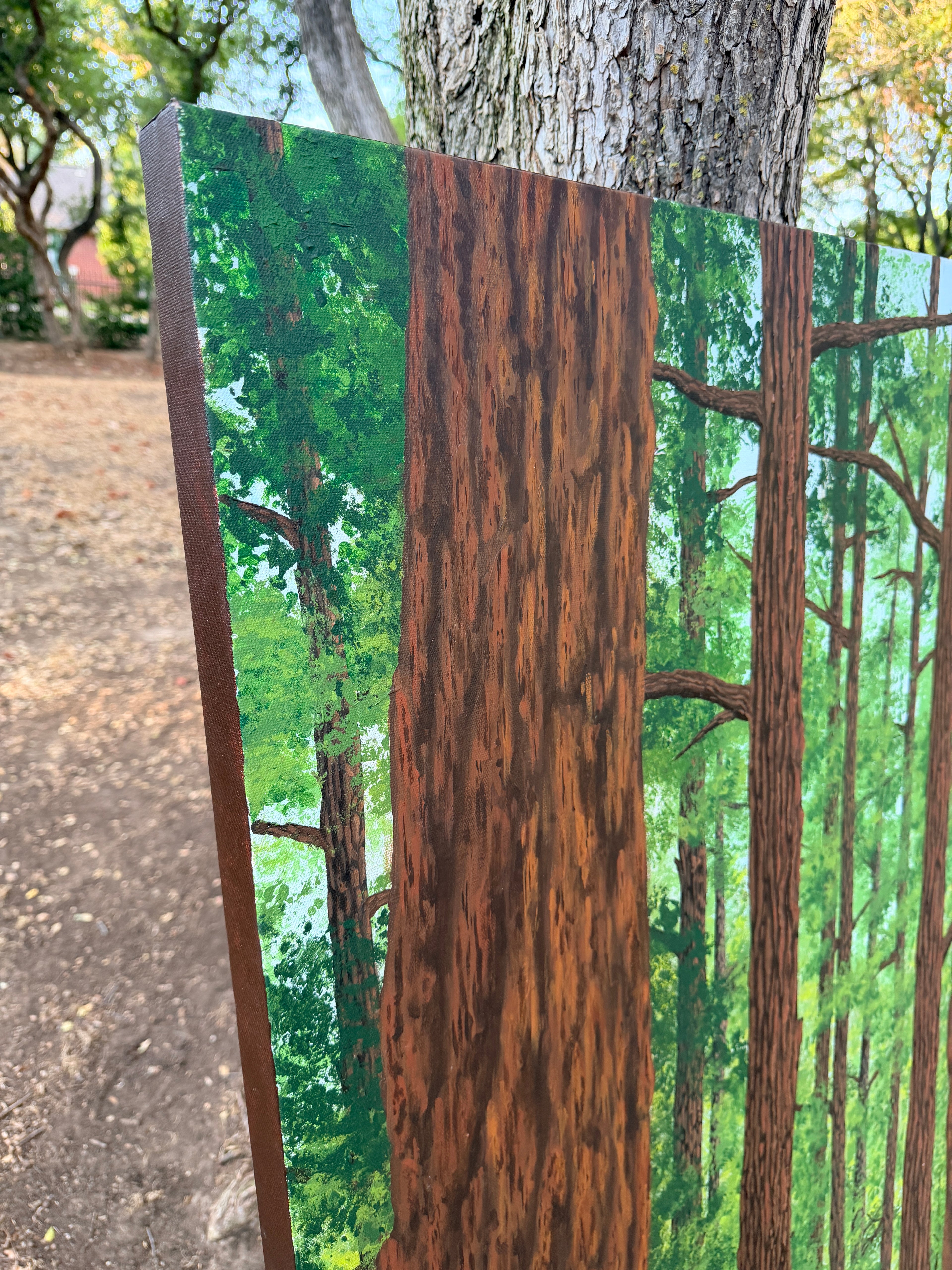 Fawn Under Towering Redwood Trees - Original Painting