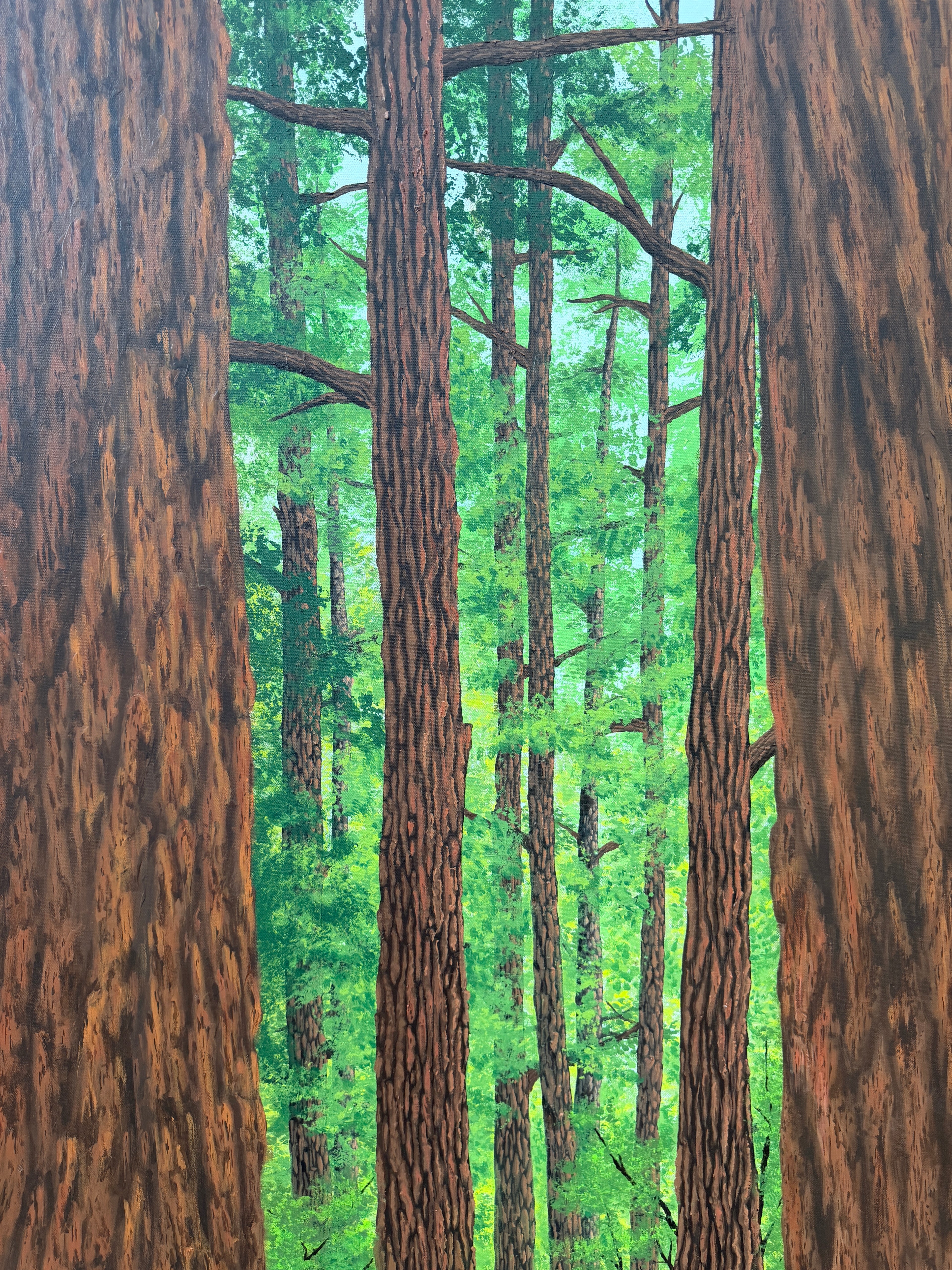 Fawn Under Towering Redwood Trees - Original Painting